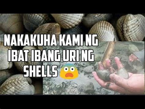 shell sa tagalog